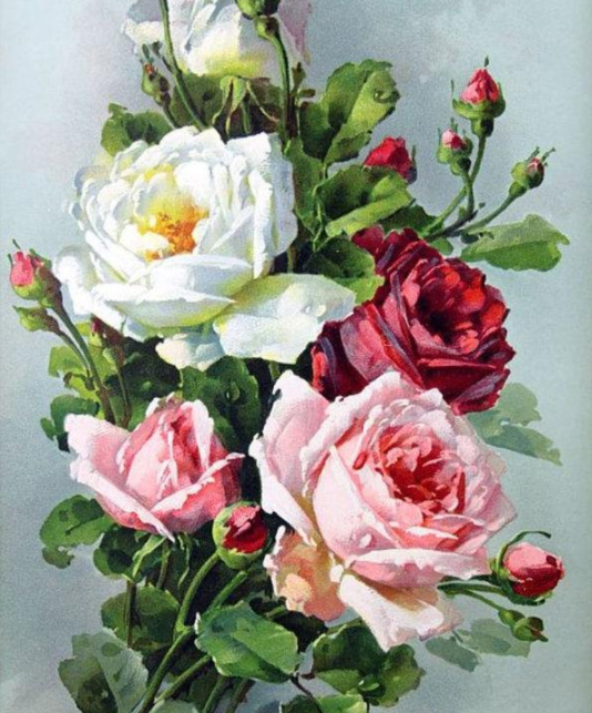 玫瑰花水粉画图片作品欣赏