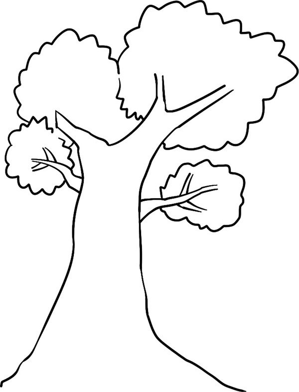 扎实的树的简笔画怎么画扎实的树简笔画简单又好看