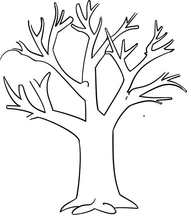 凋零的树简笔画怎么画凋零的树简笔画简单又好看