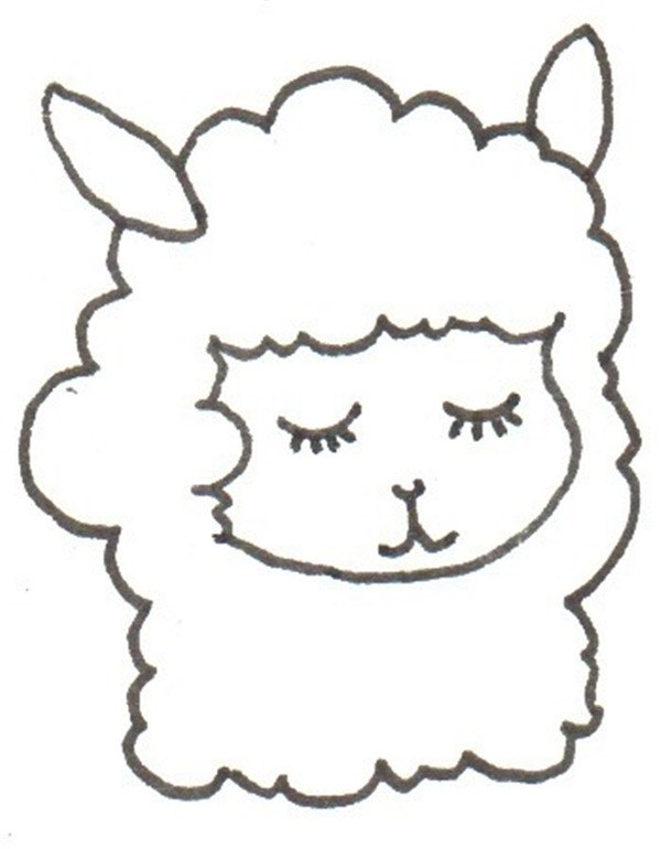 羊驼的简笔画怎么画羊驼的简笔画顺序