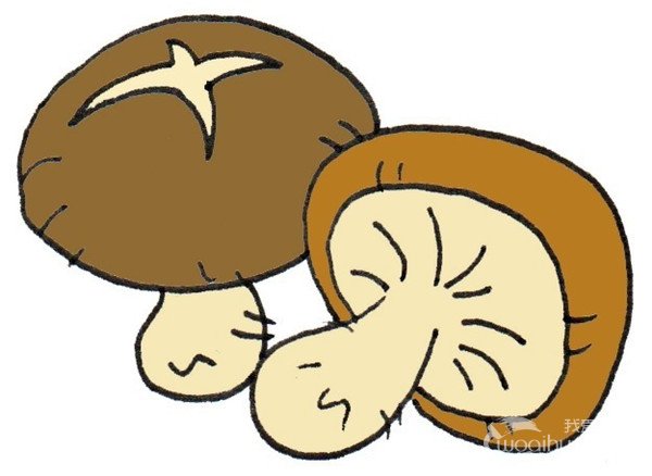 香菇的简笔画怎么画香菇的简笔画画法