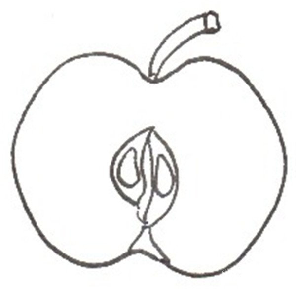 红苹果的简笔画怎么画红苹果的简笔画步骤