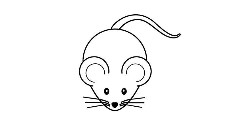 老鼠简笔画怎么画老鼠简笔画好看