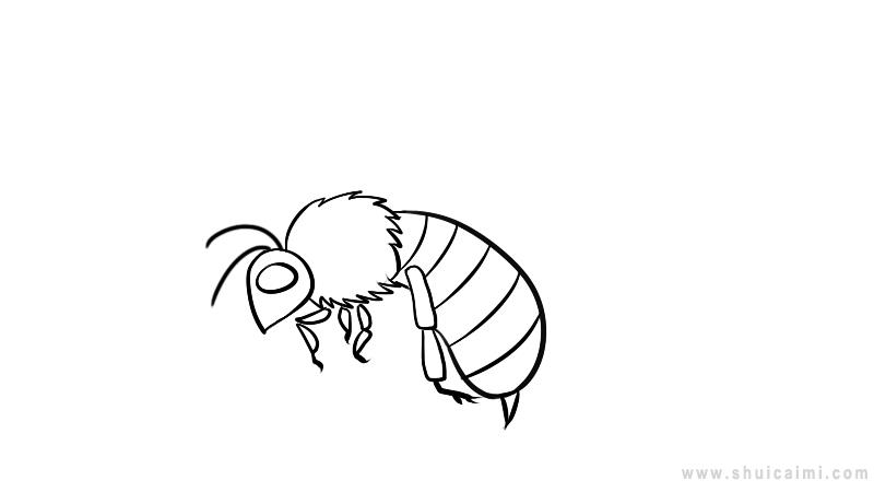 蜜蜂简笔画怎么画蜜蜂简笔画好看