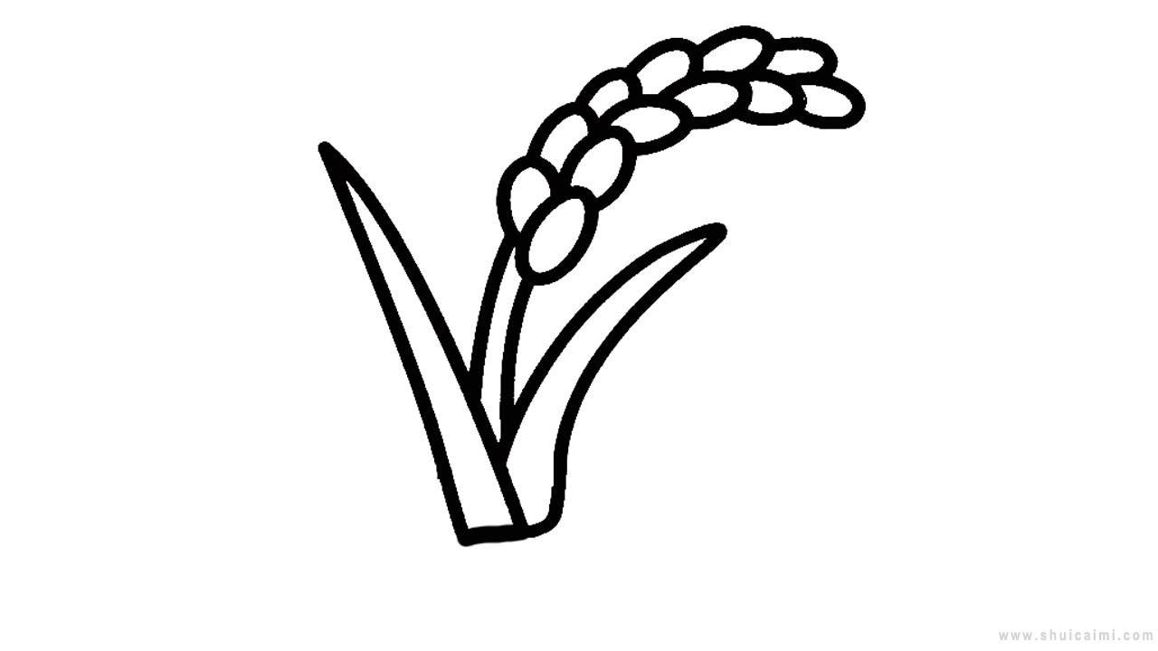 第二步画出植物的茎第一步画出谷穗这一篇文章告诉你稻谷简笔画怎么