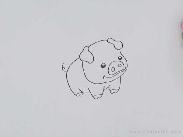 2,再画上可爱的表情,猪的眼睛,鼻子和嘴巴都画出来.