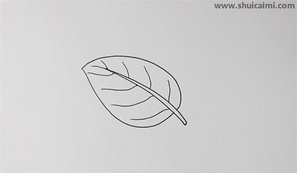 1,首先画中间叶茎部分,然后再画出叶子的整体形状,顶部要尖一点,这样
