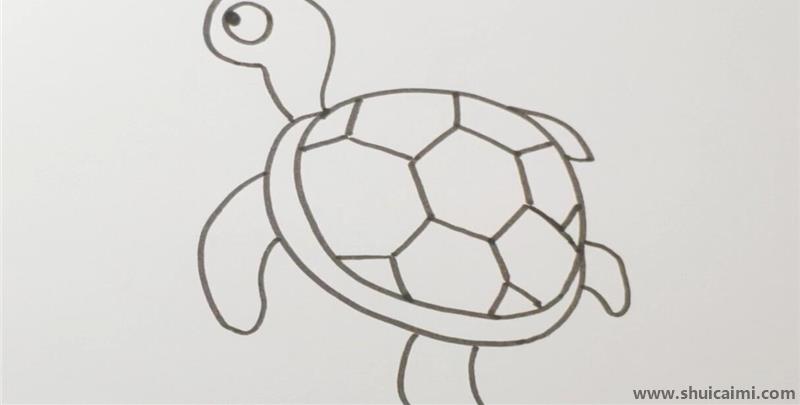 乌龟儿童简笔画怎么画乌龟儿童画画法