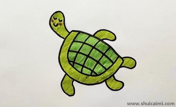 乌龟儿童画怎么画彩色乌龟简笔画画法