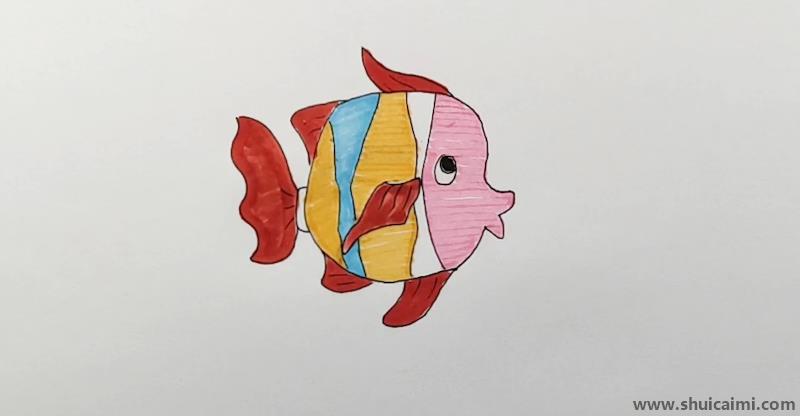 小丑鱼儿童画怎么画彩色小丑鱼简笔画图片大全