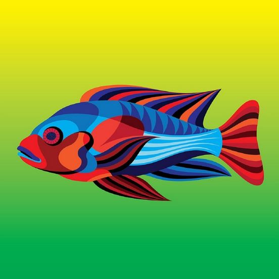 手绘漂亮的彩色热带观赏鱼图片