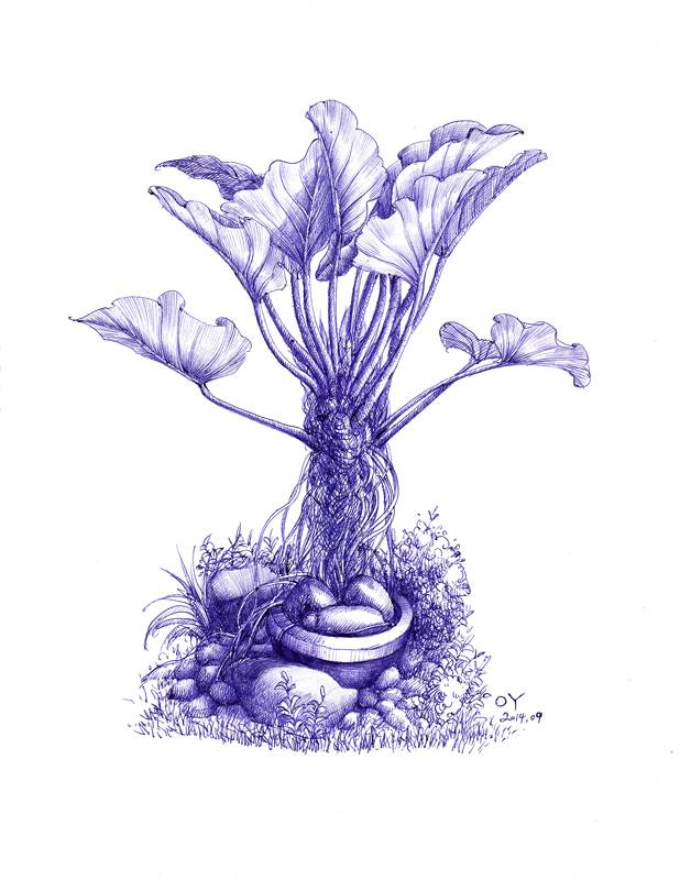 画家oy巴厘岛植物,雕塑写生圆珠笔素描画作品