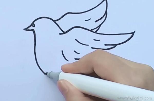 鸽子儿童画怎么画鸽子简笔画画法
