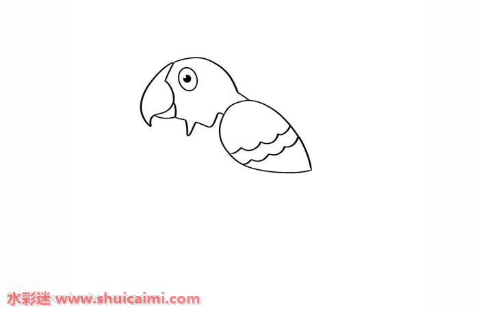 鹦鹉怎么画鹦鹉简笔画简单好看彩色