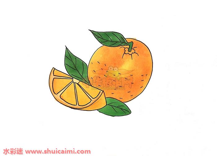 橙子怎么画橙子简笔画画法