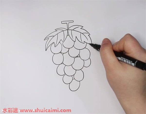 葡萄简笔画的画法步骤图解