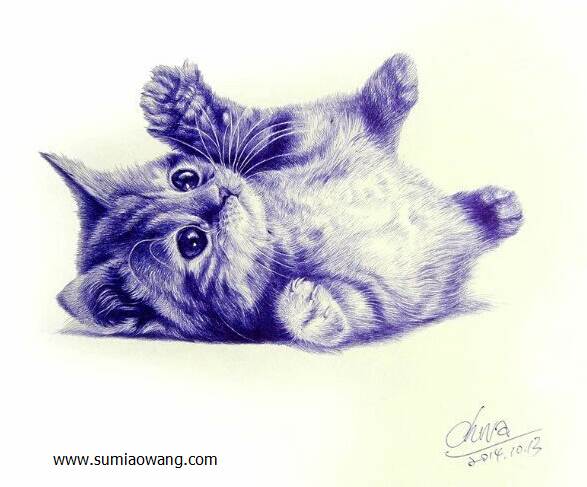毛发逼真的可爱小猫眯圆珠笔素描画图片