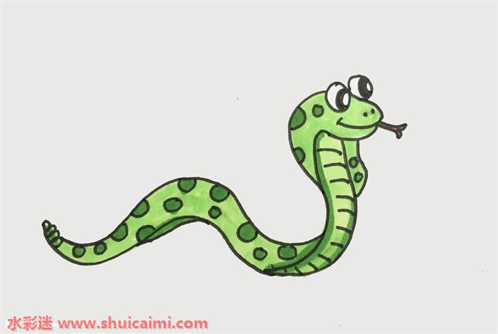 眼镜蛇怎么画眼镜蛇简笔画简单易画彩色