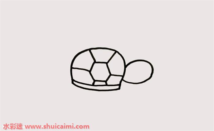 2,在龟壳上画出多边形纹路后,画出乌龟鸡蛋形状似的头部轮廓.