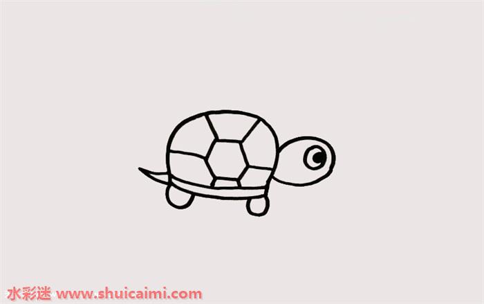 乌龟怎么画乌龟简笔画步骤