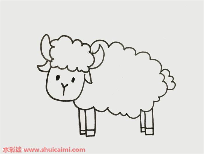 小羊怎么画小羊简笔画步骤