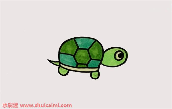 乌龟简笔画的画法步骤图解