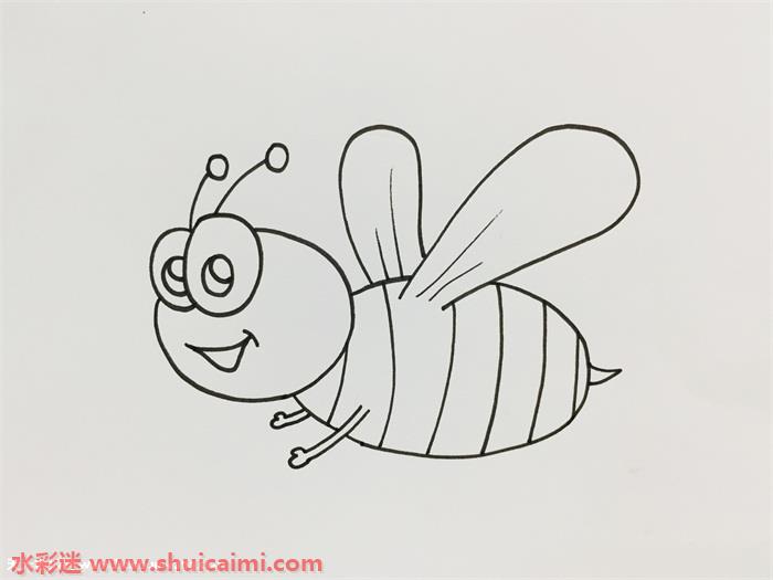 蜜蜂好看简笔画怎么画彩色