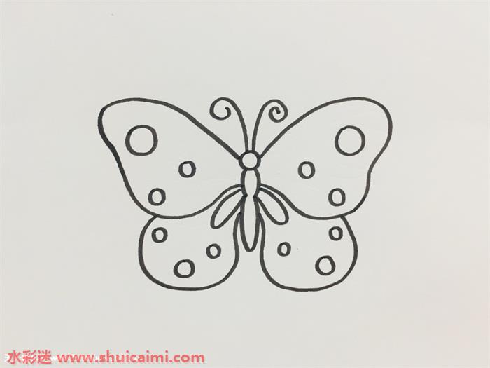 蝴蝶花纹简笔画的画法步骤图解