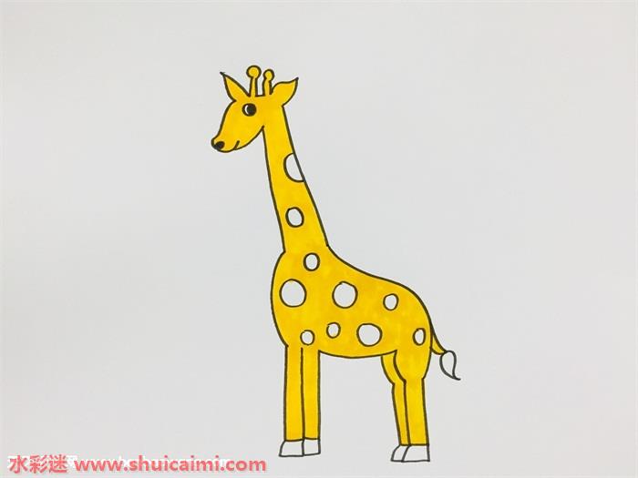 长颈鹿怎么画长颈鹿简笔画彩色