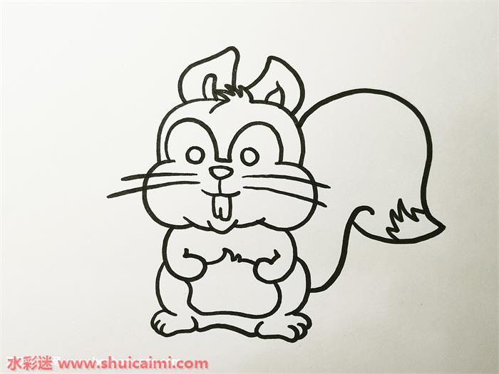 一只松鼠怎么画一只松鼠简笔画简单又漂亮彩色
