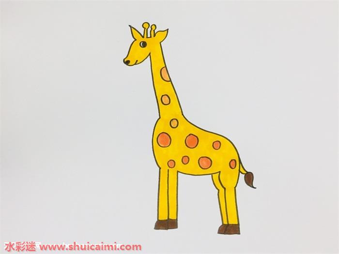 长颈鹿怎么画长颈鹿简笔画彩色
