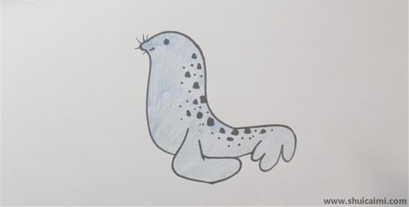 怎么画一只可爱的海豹简笔画?海豹的画法步骤分享