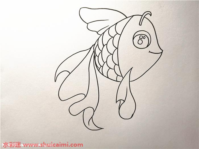 小金鱼怎么画小金鱼简笔画画法