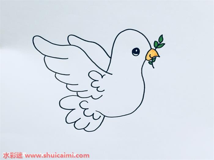 和平鸽怎么画和平鸽简笔画简单又漂亮彩色