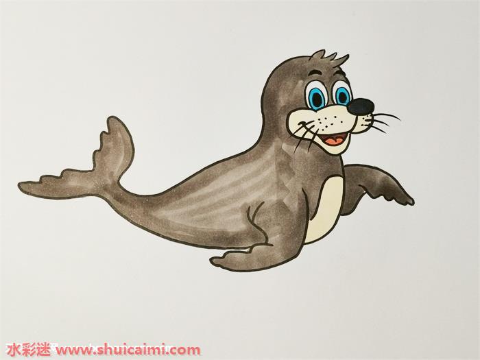 可爱海豹彩色简笔画的画法步骤图解