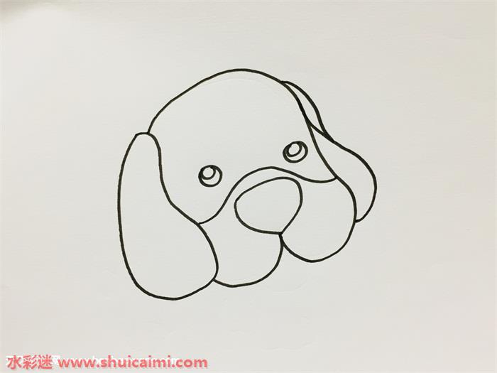 1,首先我们画出小狗的头部,两侧画上长长的耳朵,一直垂到嘴巴附近