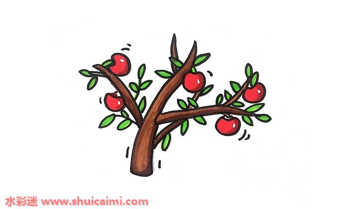 苹果树怎么画 苹果树简笔画步骤图 - 水彩迷