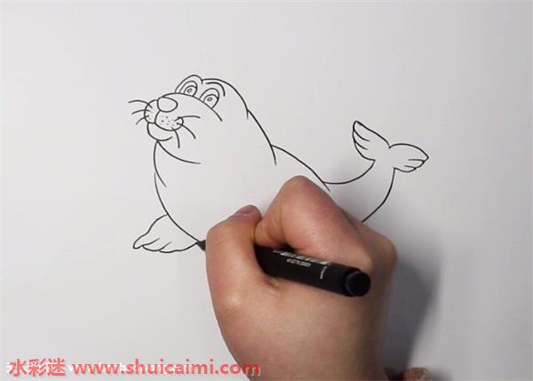 海豹简笔画的画法步骤图解
