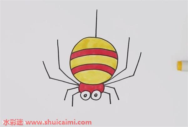 蜘蛛怎么画蜘蛛简笔画简单彩色