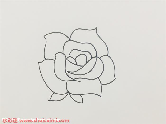 盛开玫瑰花怎么画盛开玫瑰花简笔画步骤图