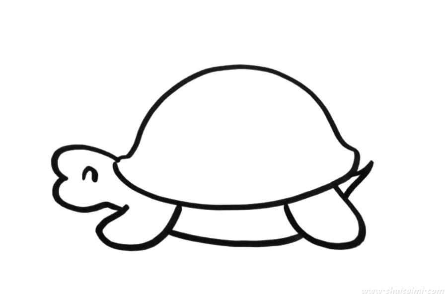 小乌龟怎么画小乌龟简笔画步骤
