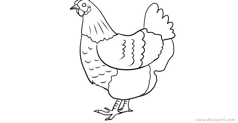 鸡儿童画怎么画鸡简笔画图片