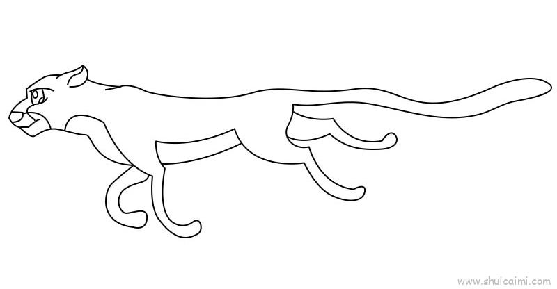 豹子儿童画怎么画豹子简笔画顺序