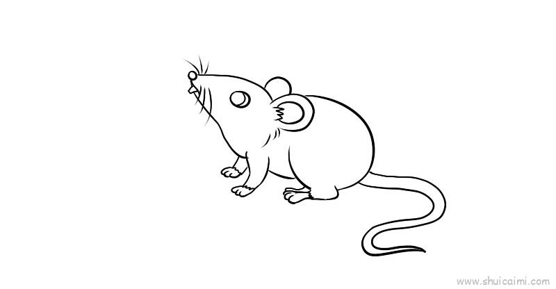 老鼠儿童画怎么画老鼠简笔画好看