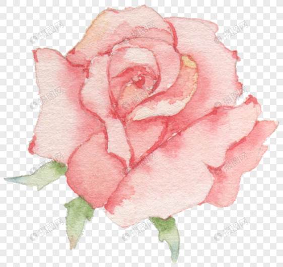 玫瑰花水彩画简单水彩玫瑰花的画法
