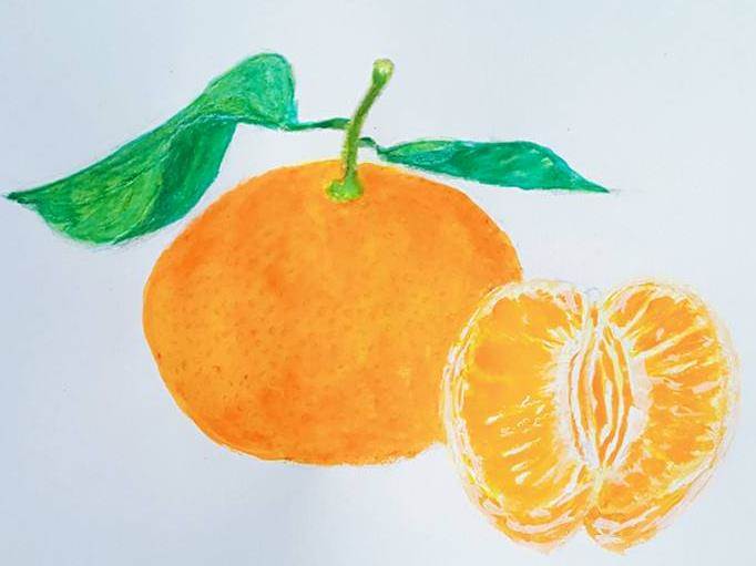 橘子水粉画橘子水粉画法步骤