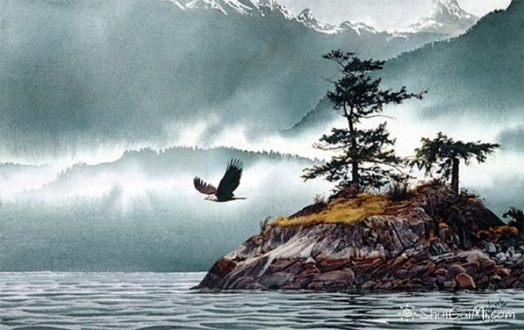 加拿大卡罗尔-埃文斯Carol Evans的水彩画