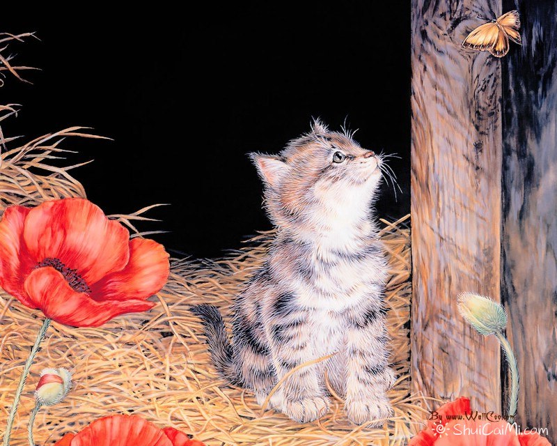 美国插画师Jane Maday笔下的可爱猫咪小动物 - 爱画网