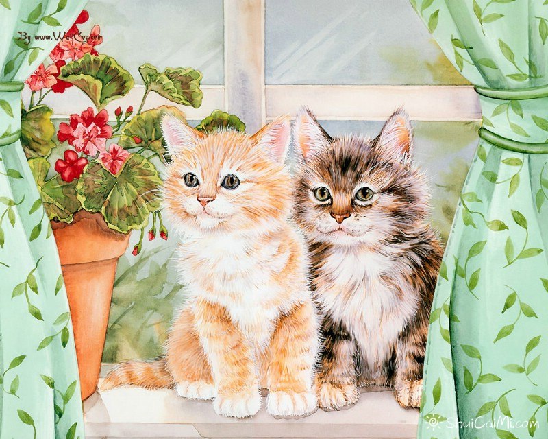 美国插画师Jane Maday笔下的可爱猫咪小动物 - 爱画网