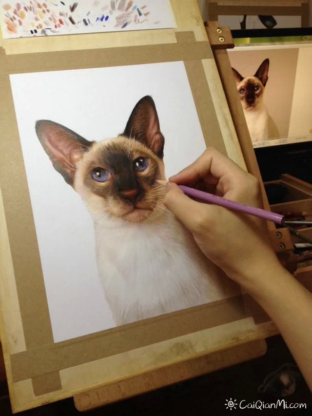 藏在画里的小猫 孟祥雷超写实手绘作品欣赏